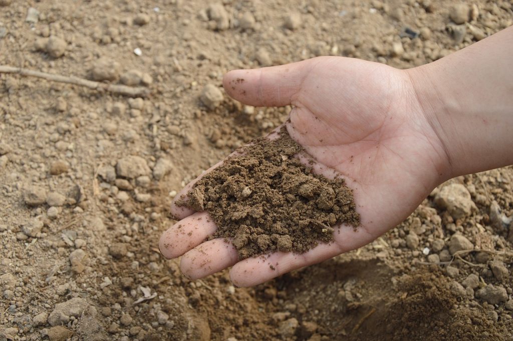 the importance of healthy soil