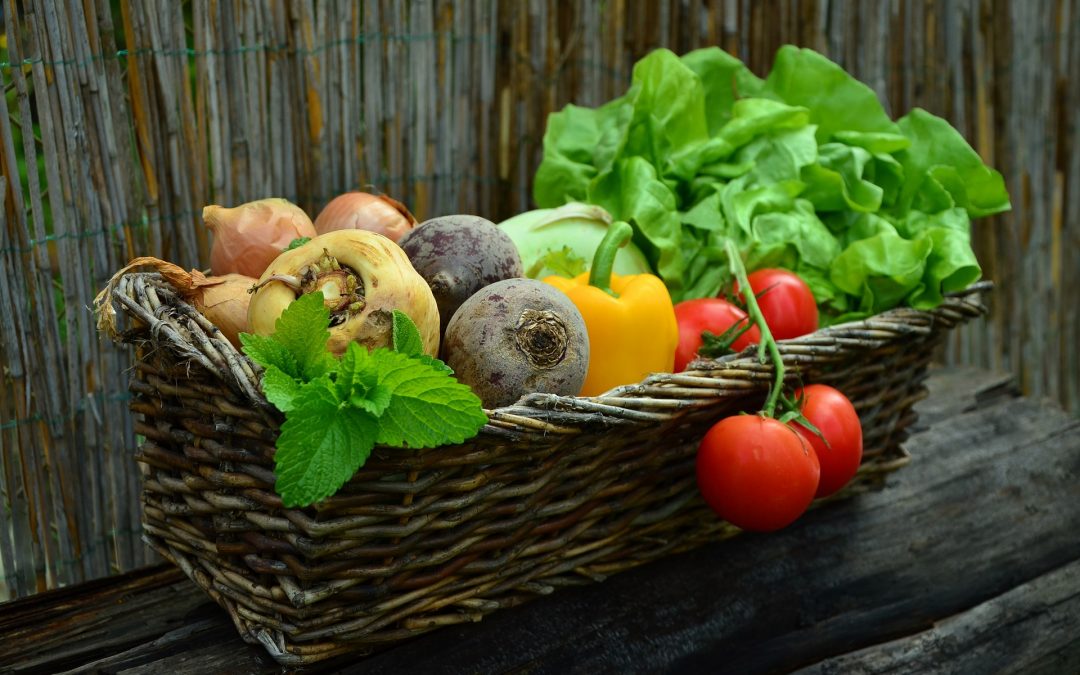 Benefits of Organic food like tomatoes, lettus, beets...
