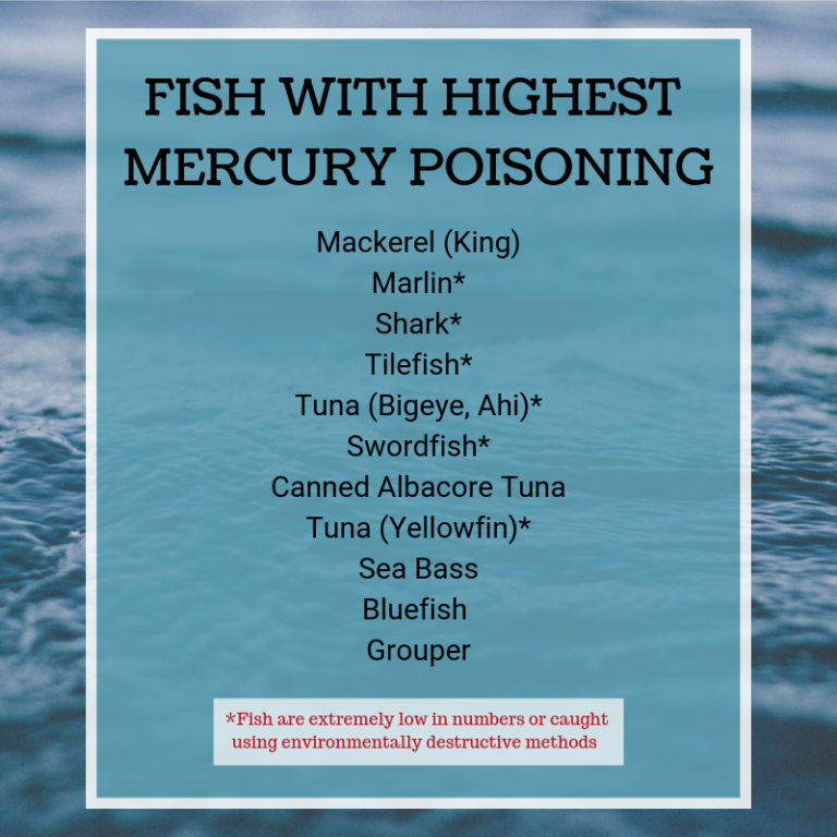 mercury poisoning from fish