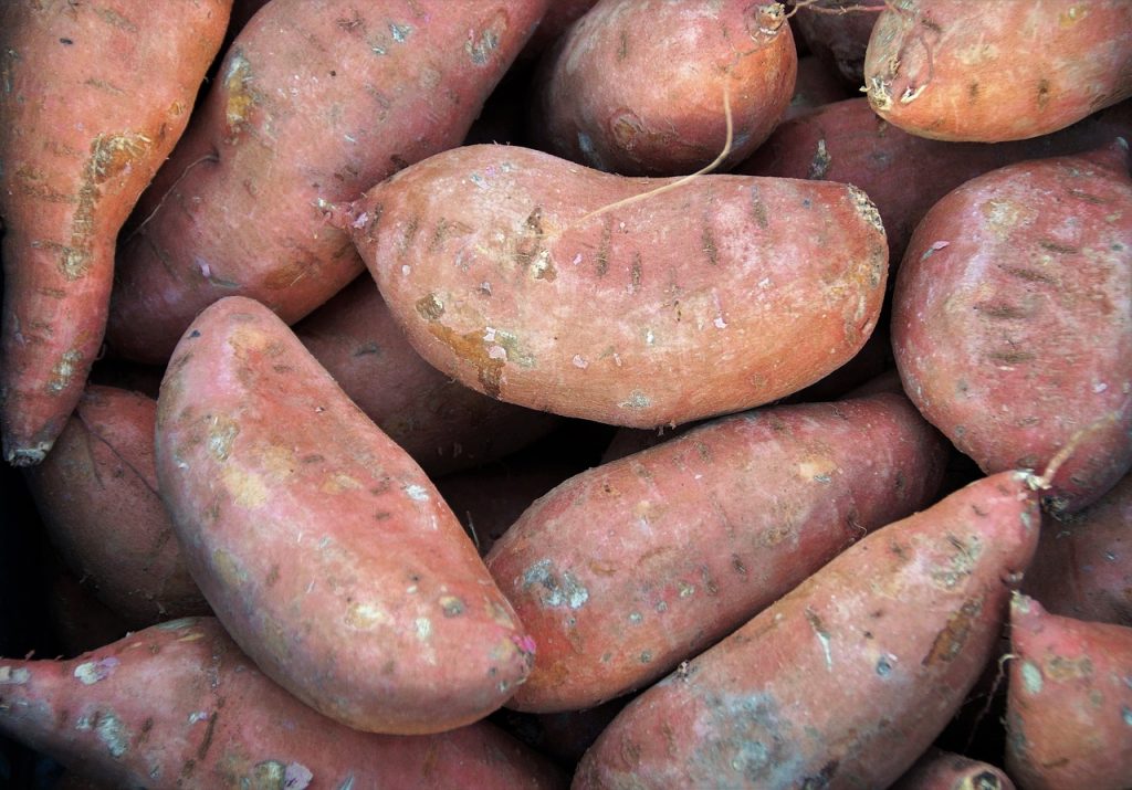 sweet potato and resistant starches